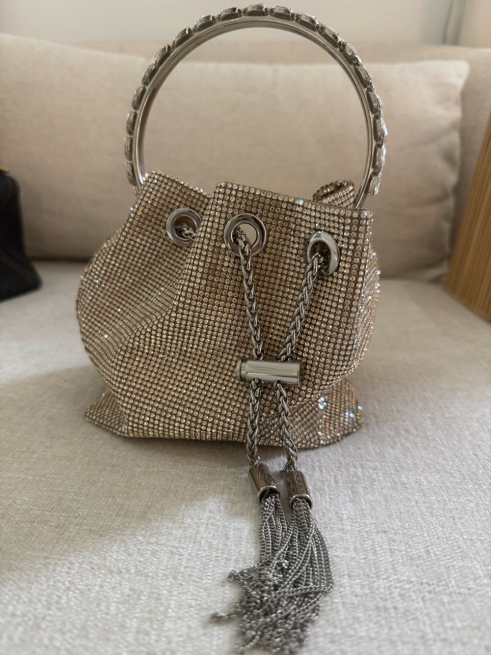 Crystal-Embellished Drawstring Bucket Bag in Champagne NWOT